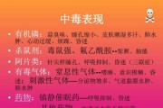 吉娃娃中毒的急救方法（宠物毒物知识大揭秘，掌握这些知识，拯救你的爱宠）