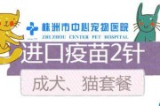 成年犬的必打疫苗（保护您的犬宝贝免受疾病侵害）