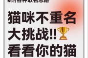 给猫咪取名字的艺术（寻找完美的猫咪名字的关键要素）