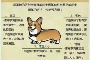 罗秦犬的饲养指南（照顾你的罗秦犬，打造健康快乐的生活）