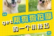 如何通过饮食促进小狗健康成长（以狗吃什么容易化小狗）