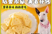 如何合理安排小狗的零食时间（制定科学的喂养计划，让小狗健康快乐成长）