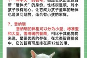 一个月大的小狗狗应该吃什么好？（科学饲养小狗狗，合理搭配食物）