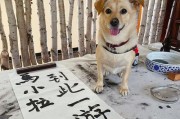 细小引发的疾病应如何治疗？（药物治疗细小病毒感染的关键）