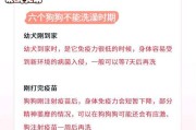 斗牛犬洗澡的频率与方法（斗牛犬洗澡的最佳时间和洗澡前后的注意事项）