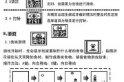 维兰特兔的饲养技巧（做好宠物兔的饲养之道）
