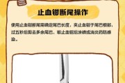 泰迪断尾的最佳时机（探索泰迪断尾的适宜时机及注意事项）
