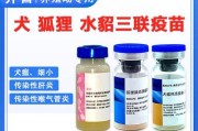 猫狗感染疾病后的消毒指南（有效预防传染性疾病的关键方法与技巧）