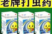 吃完打虫药后多久可以进食？（探讨合理的进食时间间隔及注意事项）