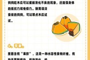 提升狗狗免疫力的方法（营养均衡的饮食是关键）