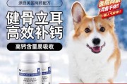 老年狗的营养需求