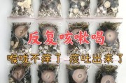 小狗咳嗽的原因及治疗方法（揭秘小狗咳嗽的常见原因和有效治疗方法）