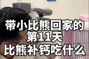 三个月的比熊喂什么？——关于宝宝比熊饮食的重要指南（宝宝比熊三个月大时的饮食需求与注意事项）