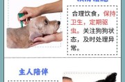 小狗呕吐的常见问题及处理方法（了解小狗呕吐的原因和正确的处理方法，保持宠物的健康）