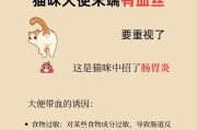 小奶猫为什么不拉屎？（探寻小奶猫不拉屎的原因及解决方法）