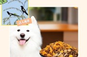 萌犬萨摩耶“出逃”吃十斤狗粮，勇救行动取出八斤（主人及时发现送去就医，萨摩耶展现惊人的胃容量）