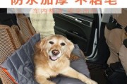 夏天狗狗脚垫清洁全攻略（关注宠物脚垫健康，关爱狗狗小生命）