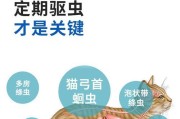 拜耳拜宠清（宠爱你的宠物，从内驱开始）