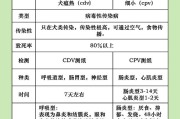 犬瘟病的检测时间及关键因素（了解犬瘟病的检测时间对预防与治疗至关重要）