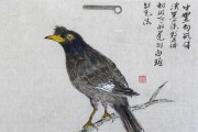 八哥吃什么长得快？（养八哥的关键是什么？营养均衡饮食！）