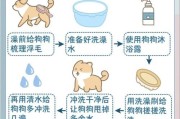 狗狗洗澡的最佳时机（探讨狗狗合适的洗澡频率和年龄段）