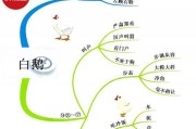 亚达伯拉象龟的饲养方法（如何打造健康快乐的亚达伯拉象龟生活空间）