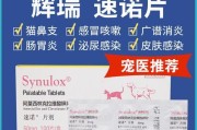 如何处理猫咪感冒？（分享有效的猫咪感冒处理方法）