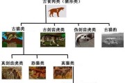 德州豹饲养全攻略（掌握饲养技巧，让你的德州豹健康快乐成长）
