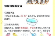 狗狗驱虫与洗澡的最佳时机（保护宠物健康，科学护理最重要）