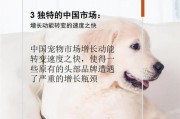 宠物饲养的意义（以宠物饲养为主题探讨人与动物之间的情感纽带及心理健康效益）
