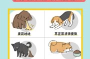 为什么狗会吃得少？（探究狗食欲不振的原因及解决方法）