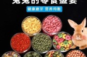 龙猫的零食选择（可口健康的美味，满足你宠物的味蕾）