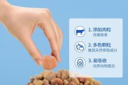 以马犬肠胃不好的原因及治疗方法（了解以马犬肠胃问题的关键，提供有效的治疗药物方案）