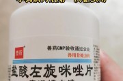 新买狗的疫苗接种指南（确保您新买的狗狗健康快乐的关键是正确接种疫苗）