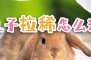 兔子拉稀状似拉水，吃什么药才能迅速恢复健康？（寻找适合兔子的药物，让它早日恢复正常排便）