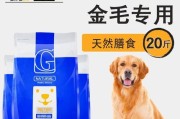 金毛幼犬如何补钙？（详细解析金毛幼犬补钙的方法和注意事项）