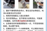 探究狗容易患寄生虫的原因（寻找狗寄生虫问题的关键因素）