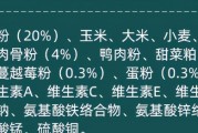泰迪狗的饮食需求与狗粮价位格（探索泰迪狗粮的不同价位与选择，满足泰迪的饮食需求）