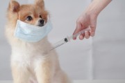 狗细小（探索狗细小的传播途径与预防措施）