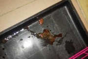 狗狗吃了又吐又拉血，可能是什么原因？（了解狗狗身体状况，避免疾病发生）