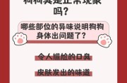 探究狗狗嘴里腥臭味的原因（揭秘引发狗狗口臭的关键因素）