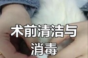 以猫消毒用什么？（有效保护猫咪免受病菌侵害的消毒方法）