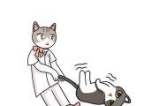 为什么不能扯猫尾巴？（保护动物福利和尊重生命）