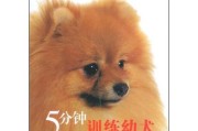 万能梗幼犬的纠错训练（打造听话乖巧的爱宠）