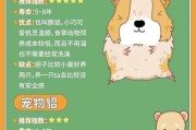 亲近人的小宠物——陪伴你的忠实伙伴（选择适合你的小宠物，享受无尽的温暖与快乐）