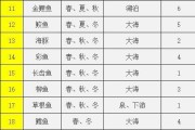 大弹涂鱼的饲养方法（打造健康活泼的大弹涂鱼群）