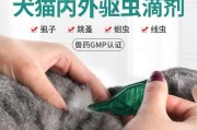 狗蜱虫疫苗注射的重要性（保护宠物免受狗蜱虫感染的关键措施）