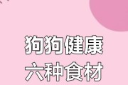 狗狗的饮食指南（了解狗狗的饮食需求，让它吃得更好更健康）