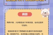夏季高温下如何预防和处理宠物中暑（宠物中暑的症状和危害）