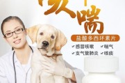 小狗感冒怎么办？（喂什么药可以缓解小狗感冒？）